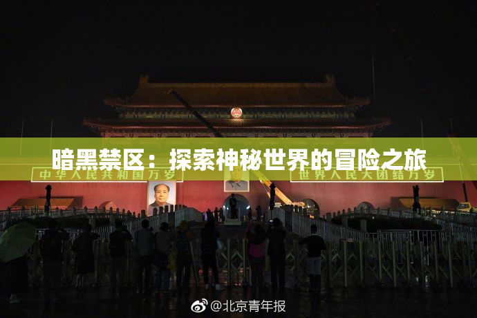暗黑禁区：探索神秘世界的冒险之旅