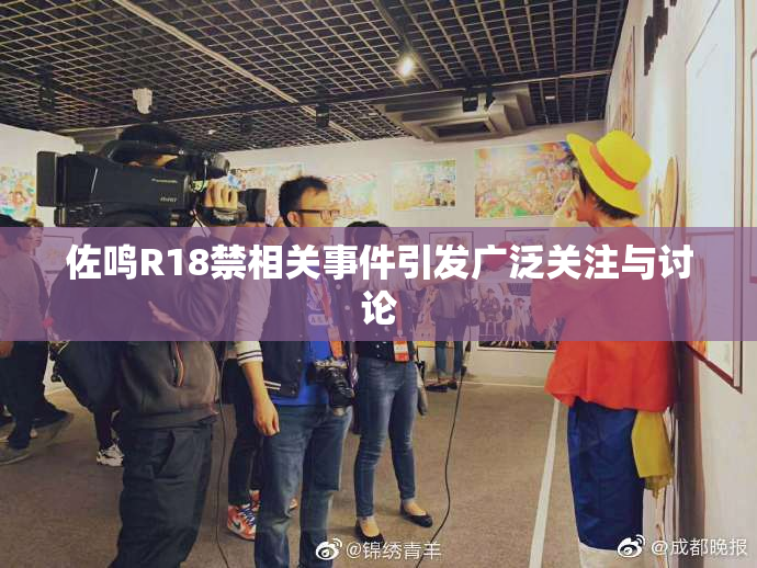 佐鸣R18禁相关事件引发广泛关注与讨论