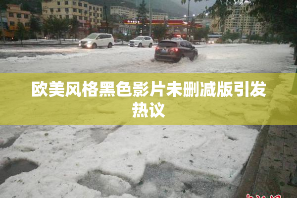 欧美风格黑色影片未删减版引发热议
