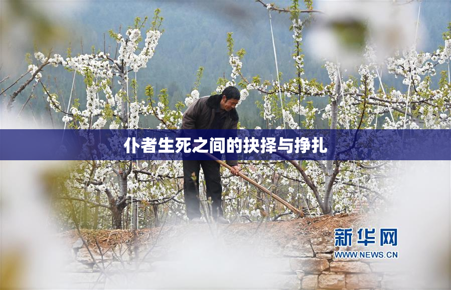 仆者生死之间的抉择与挣扎