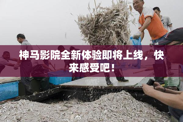 神马影院全新体验即将上线，快来感受吧！