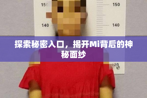 探索秘密入口，揭开Mi背后的神秘面纱