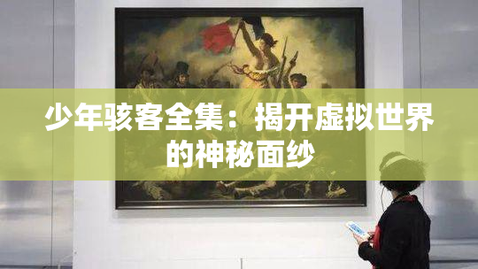 少年骇客全集：揭开虚拟世界的神秘面纱