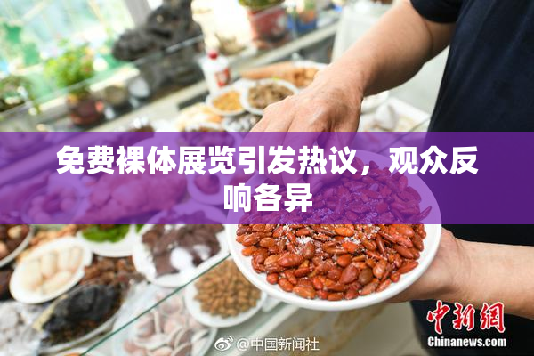 免费裸体展览引发热议，观众反响各异