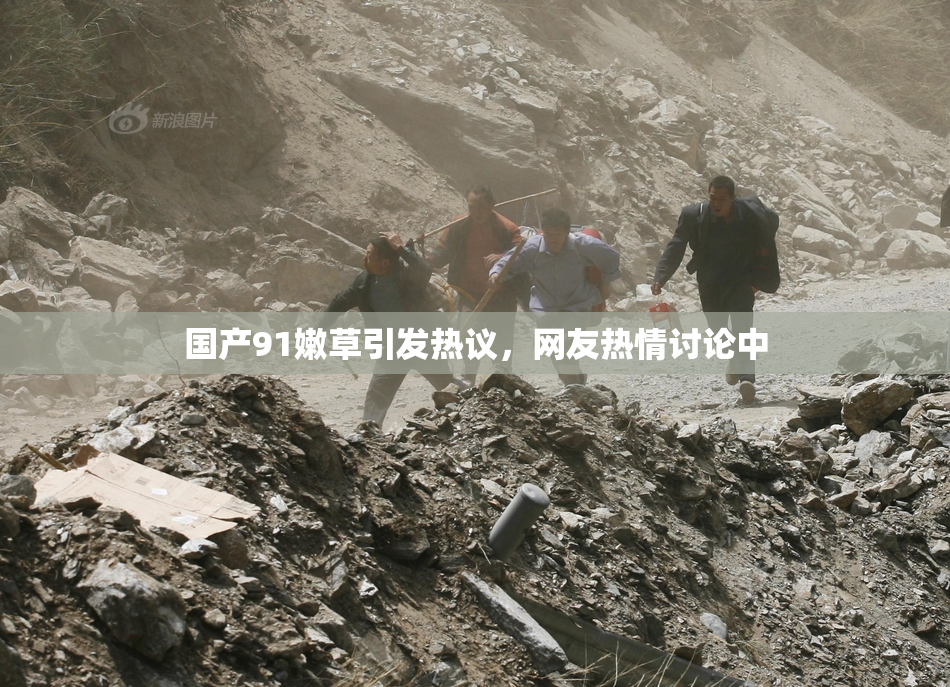 国产91嫩草引发热议，网友热情讨论中