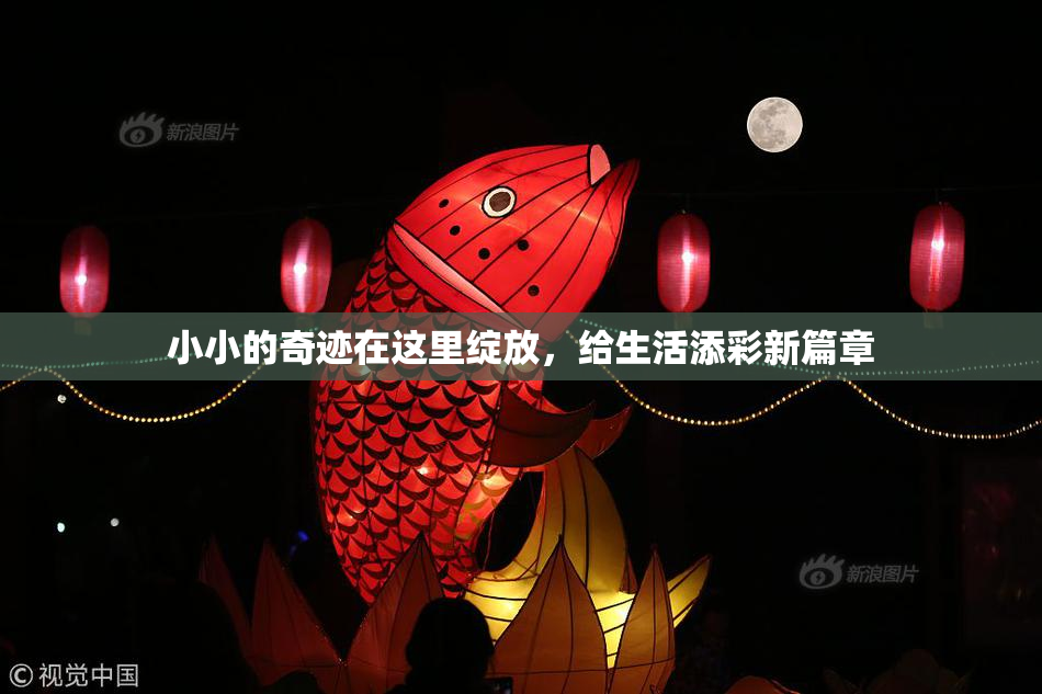 小小的奇迹在这里绽放，给生活添彩新篇章
