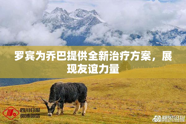 罗宾为乔巴提供全新治疗方案，展现友谊力量
