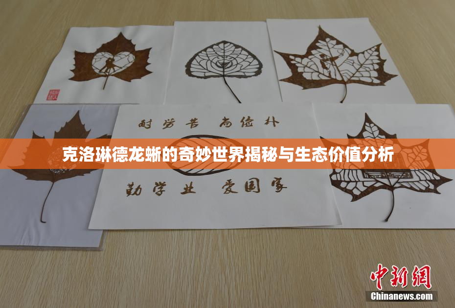 克洛琳德龙蜥的奇妙世界揭秘与生态价值分析