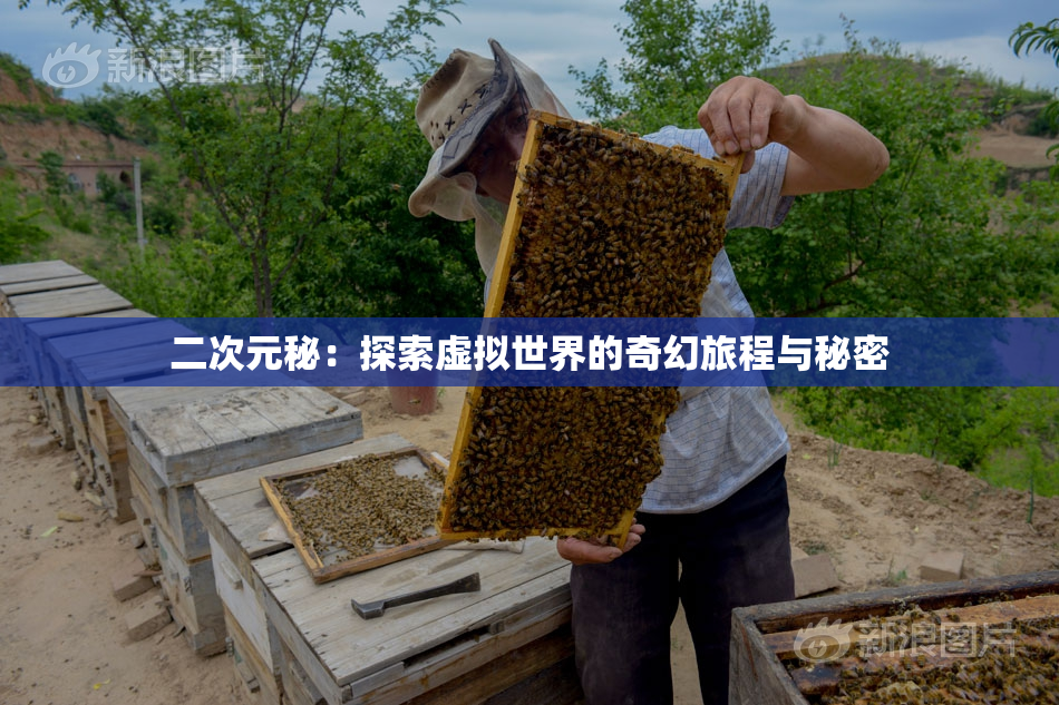 二次元秘：探索虚拟世界的奇幻旅程与秘密