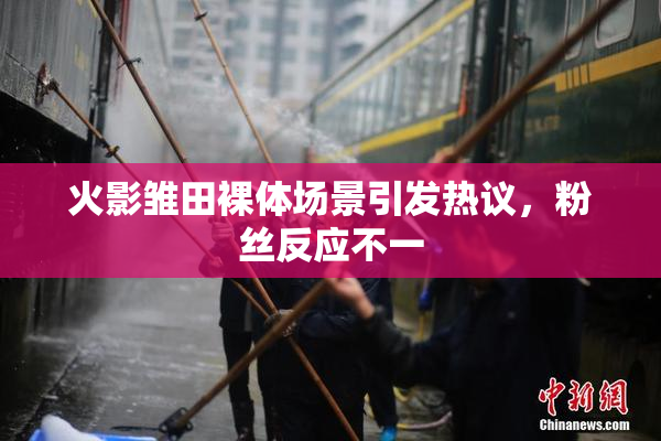火影雏田裸体场景引发热议，粉丝反应不一