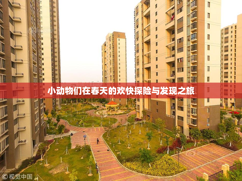 小动物们在春天的欢快探险与发现之旅