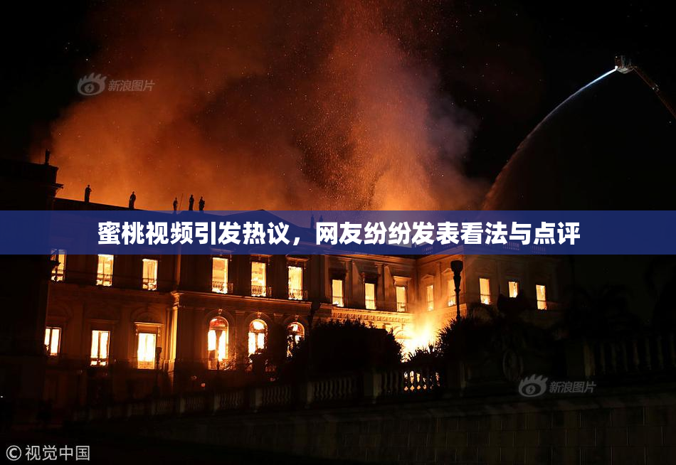 蜜桃视频引发热议，网友纷纷发表看法与点评