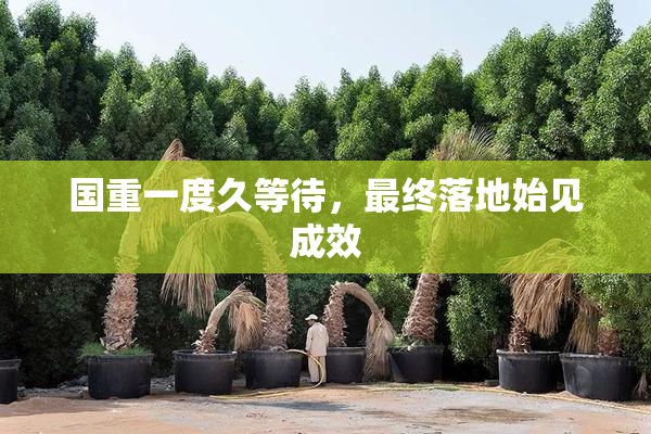 国重一度久等待，最终落地始见成效