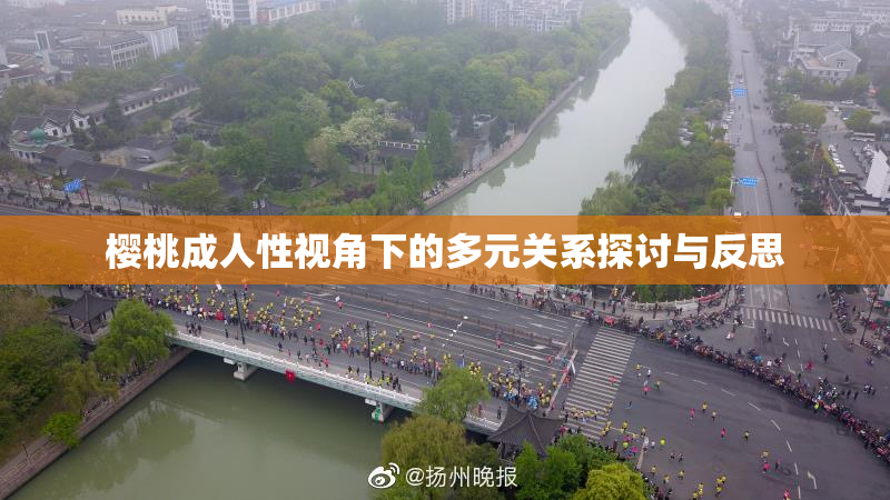 樱桃成人性视角下的多元关系探讨与反思