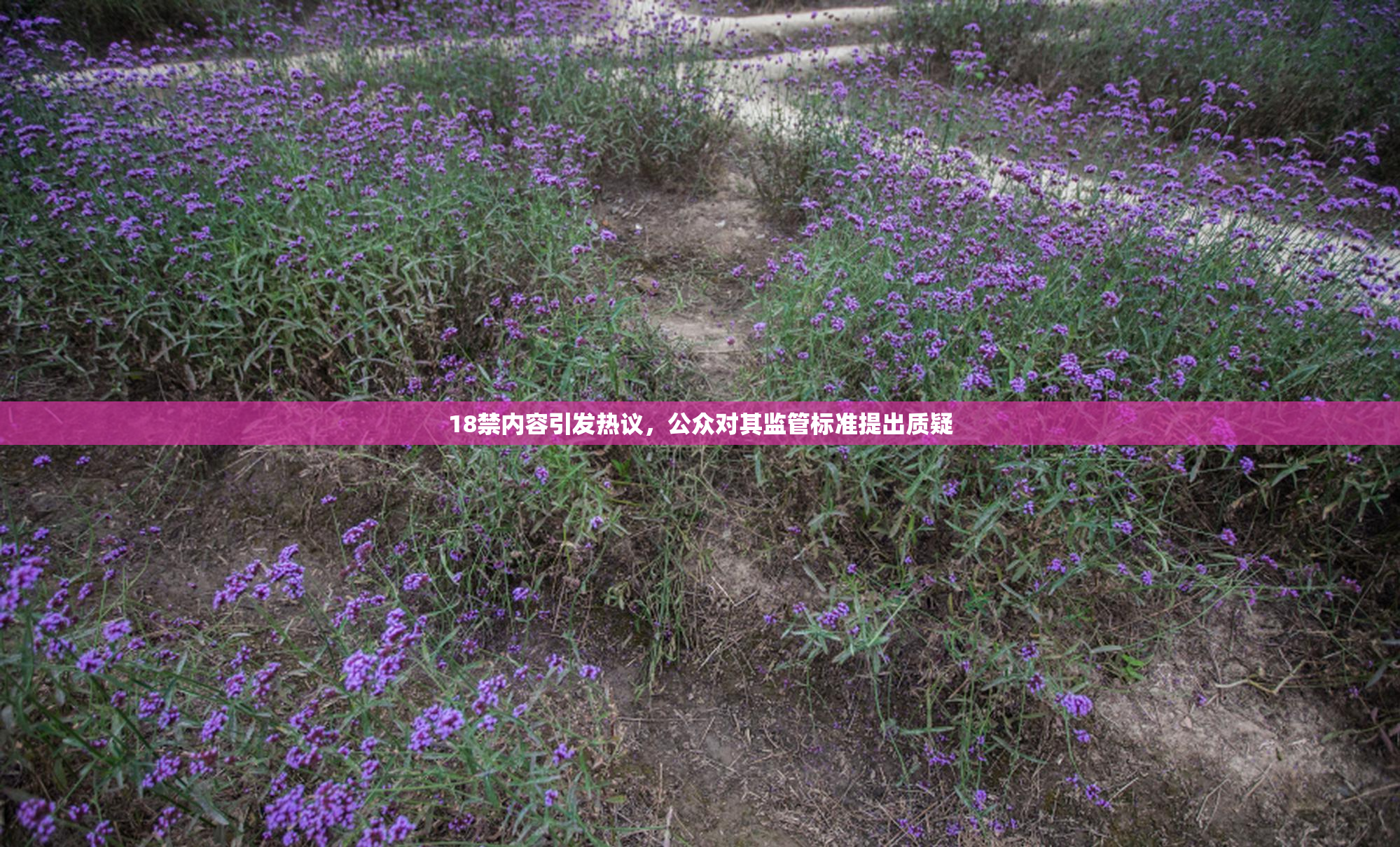 18禁内容引发热议，公众对其监管标准提出质疑