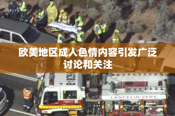 欧美地区成人色情内容引发广泛讨论和关注