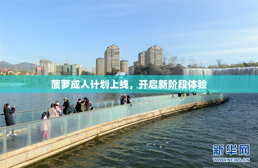 菠萝成人计划上线，开启新阶段体验