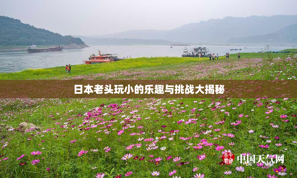 日本老头玩小的乐趣与挑战大揭秘