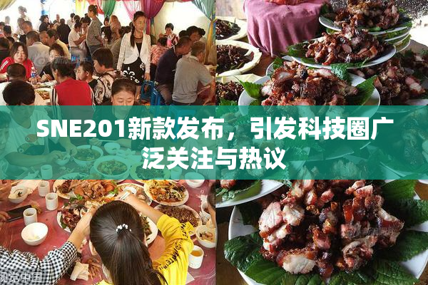 SNE201新款发布，引发科技圈广泛关注与热议