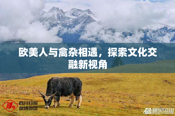 欧美人与禽杂相遇，探索文化交融新视角