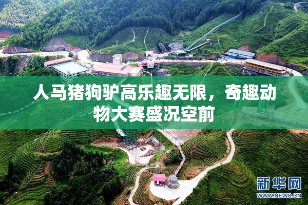 人马猪狗驴高乐趣无限，奇趣动物大赛盛况空前
