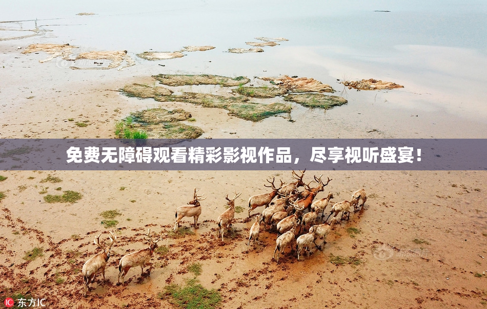 免费无障碍观看精彩影视作品，尽享视听盛宴！