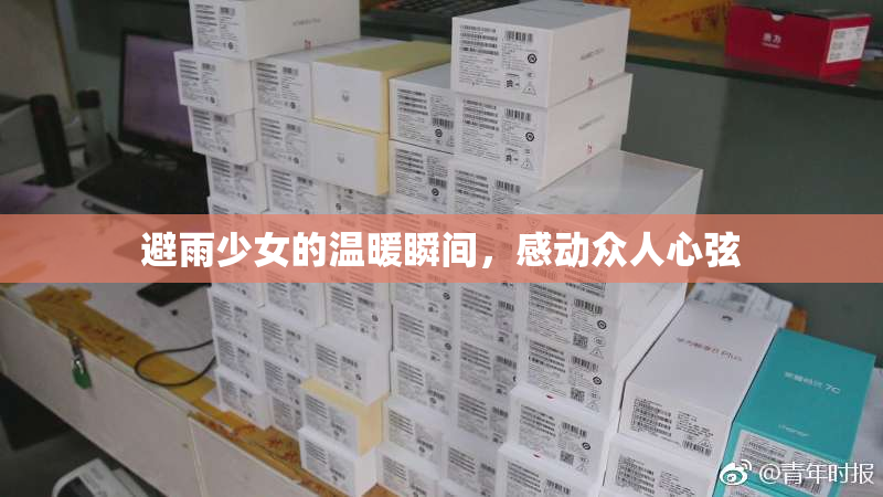 避雨少女的温暖瞬间，感动众人心弦