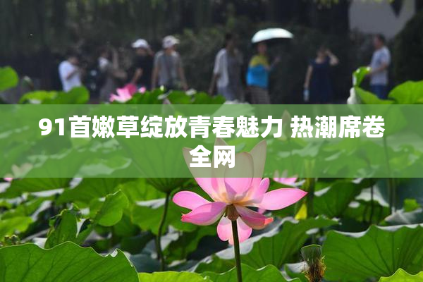 91首嫩草绽放青春魅力 热潮席卷全网
