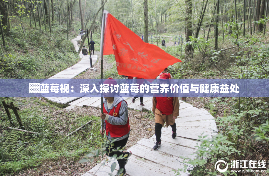 ▓蓝莓视：深入探讨蓝莓的营养价值与健康益处