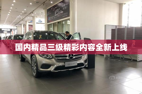 国内精品三级精彩内容全新上线