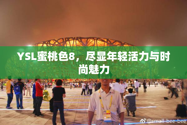 YSL蜜桃色8，尽显年轻活力与时尚魅力
