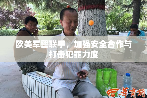 欧美军警联手，加强安全合作与打击犯罪力度
