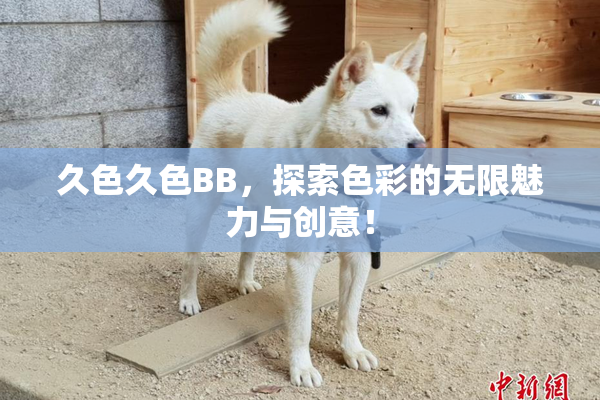久色久色BB，探索色彩的无限魅力与创意！