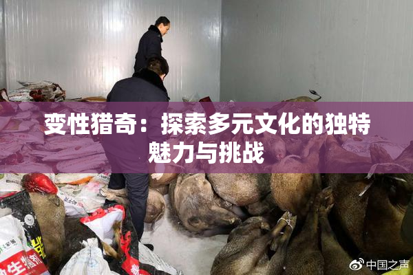 变性猎奇：探索多元文化的独特魅力与挑战