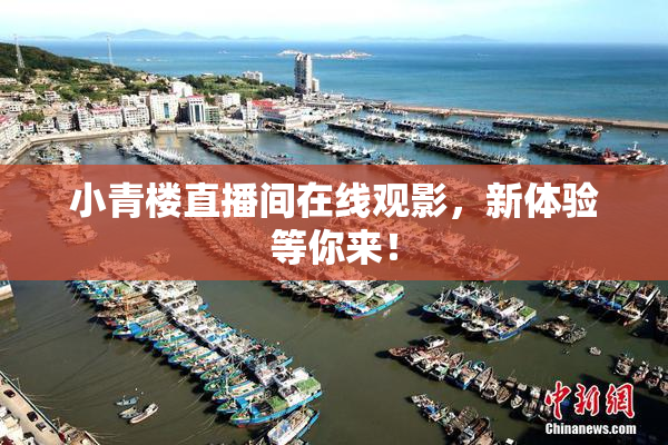 小青楼直播间在线观影，新体验等你来！