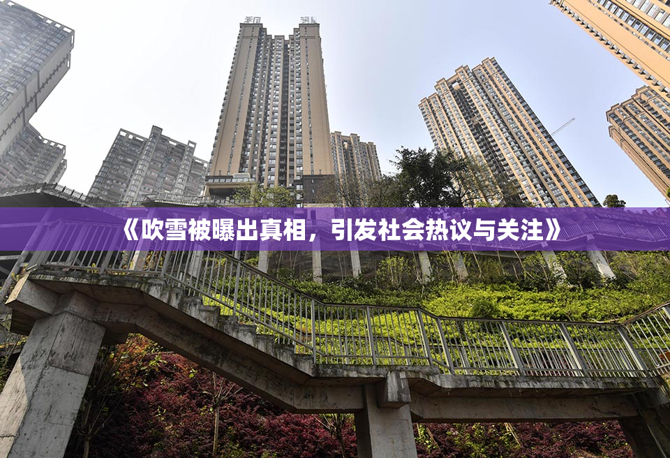 《吹雪被曝出真相，引发社会热议与关注》