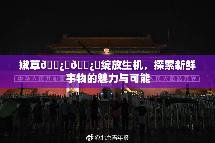 嫩草🌿‌🌿‌绽放生机，探索新鲜事物的魅力与可能