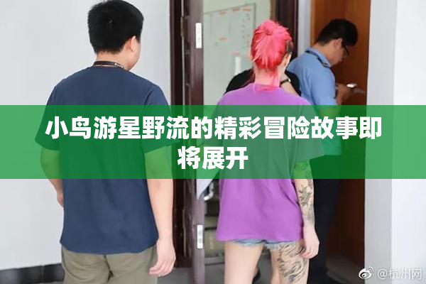 小鸟游星野流的精彩冒险故事即将展开