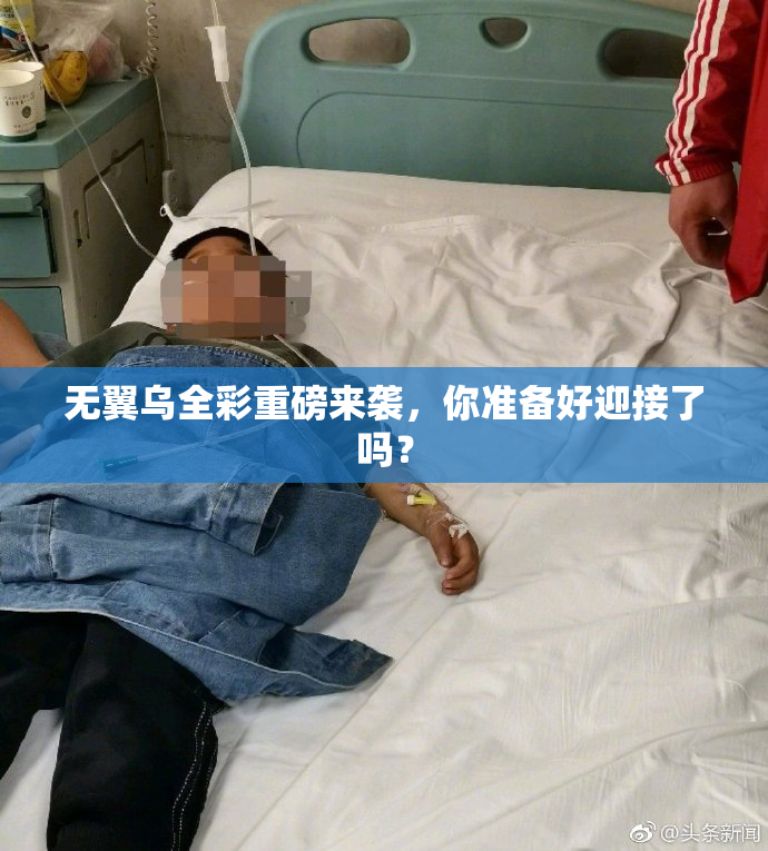 无翼乌全彩重磅来袭，你准备好迎接了吗？