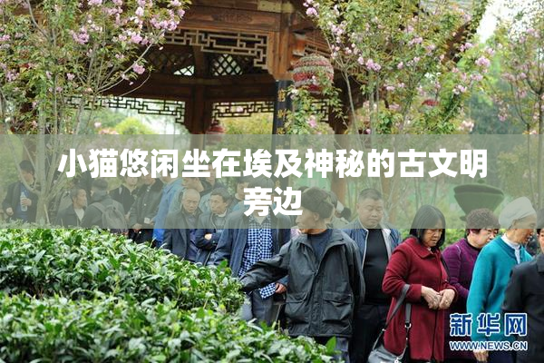 小猫悠闲坐在埃及神秘的古文明旁边