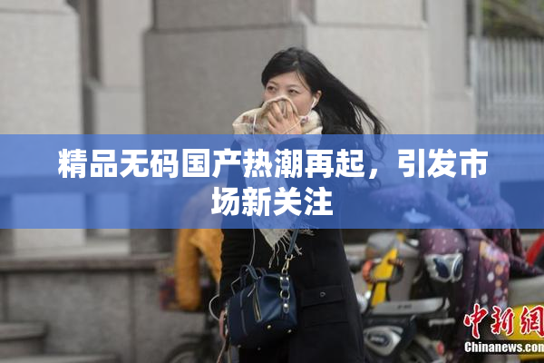 精品无码国产热潮再起，引发市场新关注