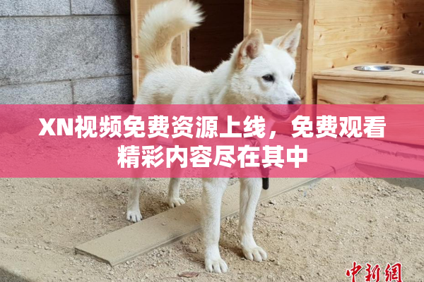 XN视频免费资源上线，免费观看精彩内容尽在其中