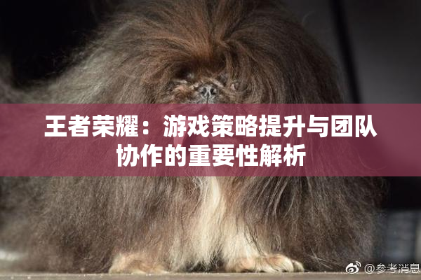 王者荣耀：游戏策略提升与团队协作的重要性解析