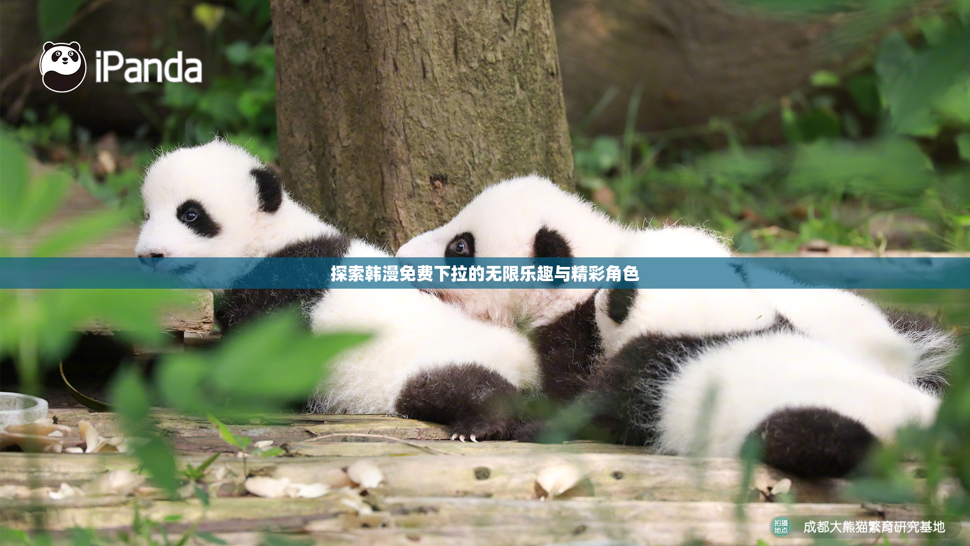探索韩漫免费下拉的无限乐趣与精彩角色