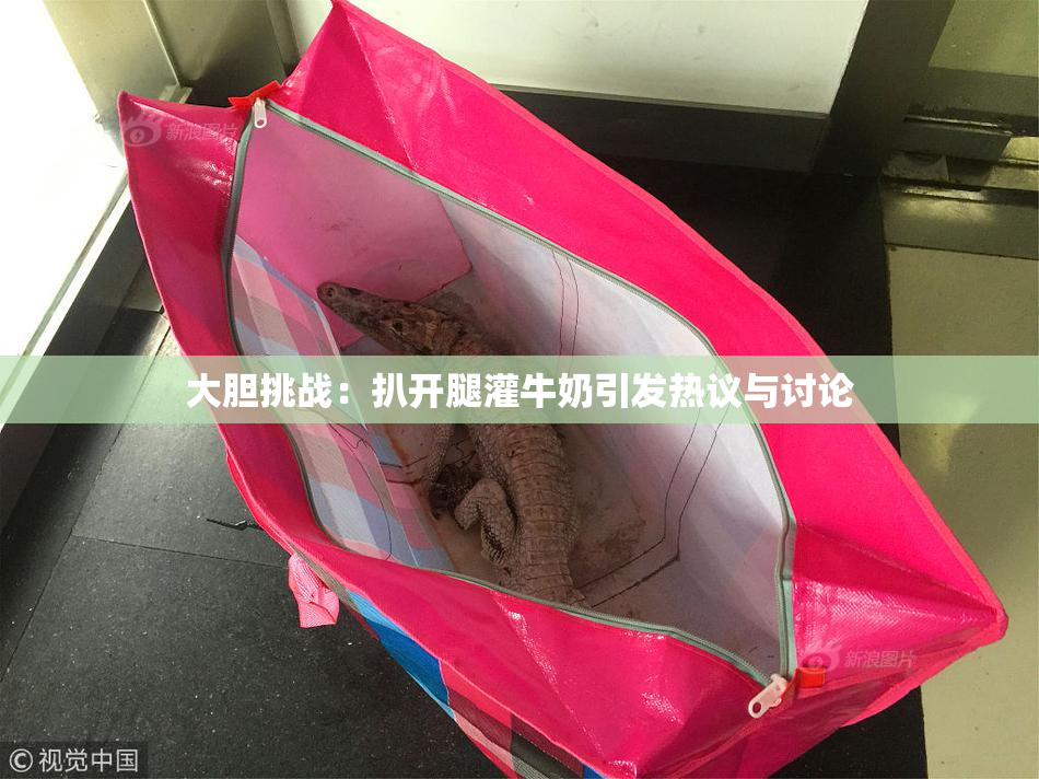 大胆挑战：扒开腿灌牛奶引发热议与讨论
