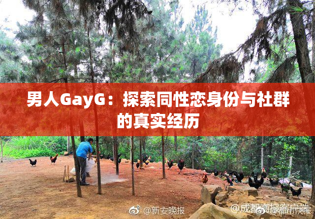 男人GayG：探索同性恋身份与社群的真实经历