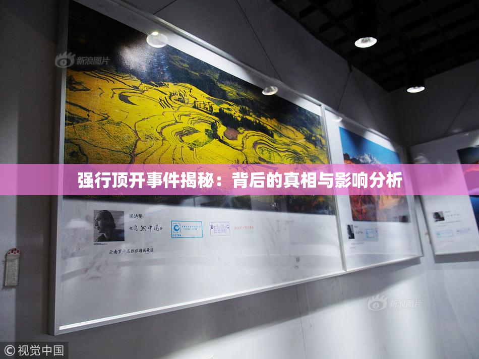 强行顶开事件揭秘：背后的真相与影响分析