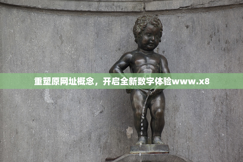 重塑原网址概念，开启全新数字体验www.x8