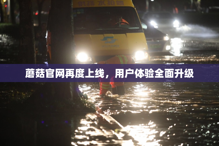 蘑菇官网再度上线，用户体验全面升级