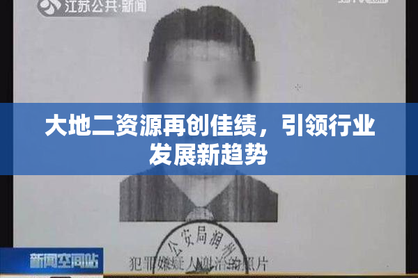 大地二资源再创佳绩，引领行业发展新趋势